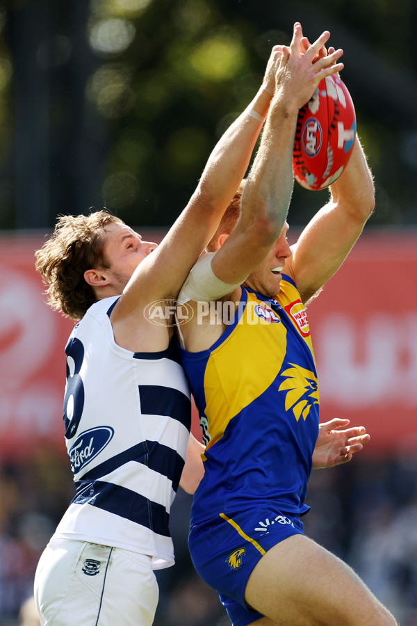 AFL Rd 5 - Geelong v West Coast - A-1223047