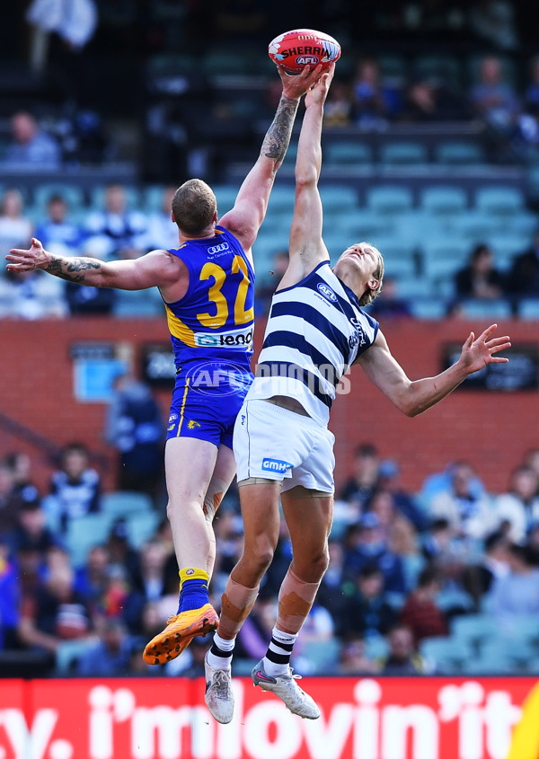 AFL Rd 5 - Geelong v West Coast - A-1223080