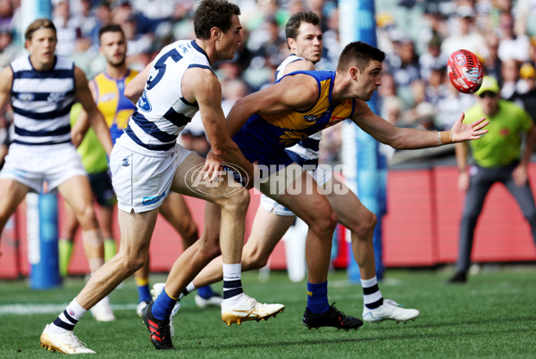 AFL Rd 5 - Geelong v West Coast - A-1223088