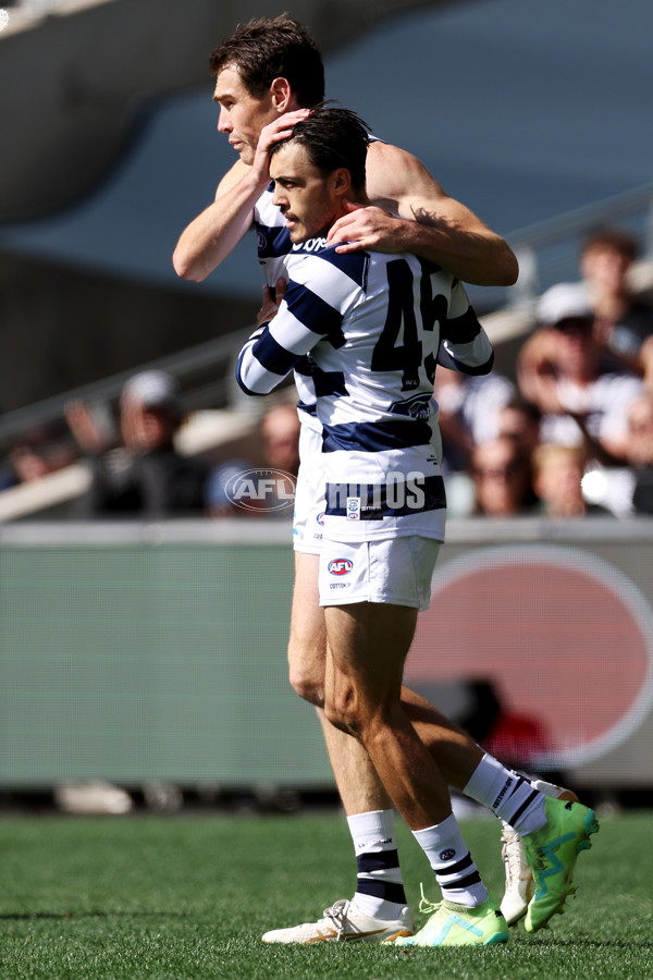 AFL Rd 5 - Geelong v West Coast - A-1223320