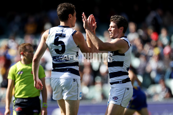 AFL Rd 5 - Geelong v West Coast - A-1223321