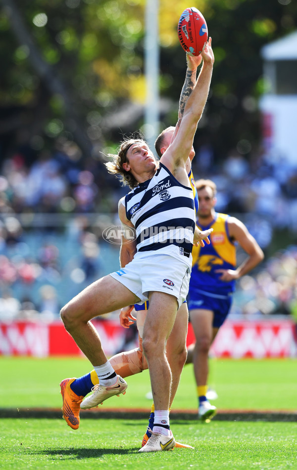 AFL Rd 5 - Geelong v West Coast - A-1223358