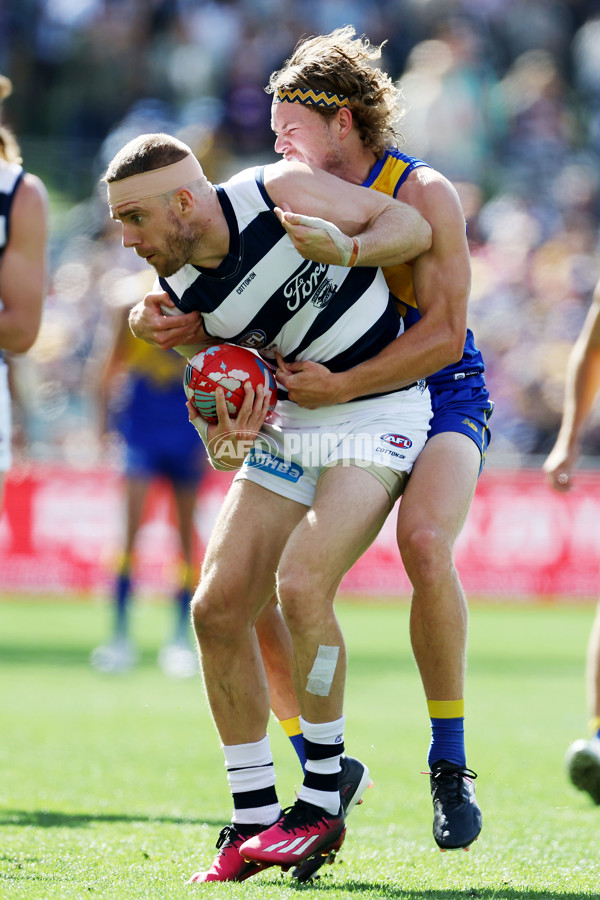 AFL Rd 5 - Geelong v West Coast - A-1223362