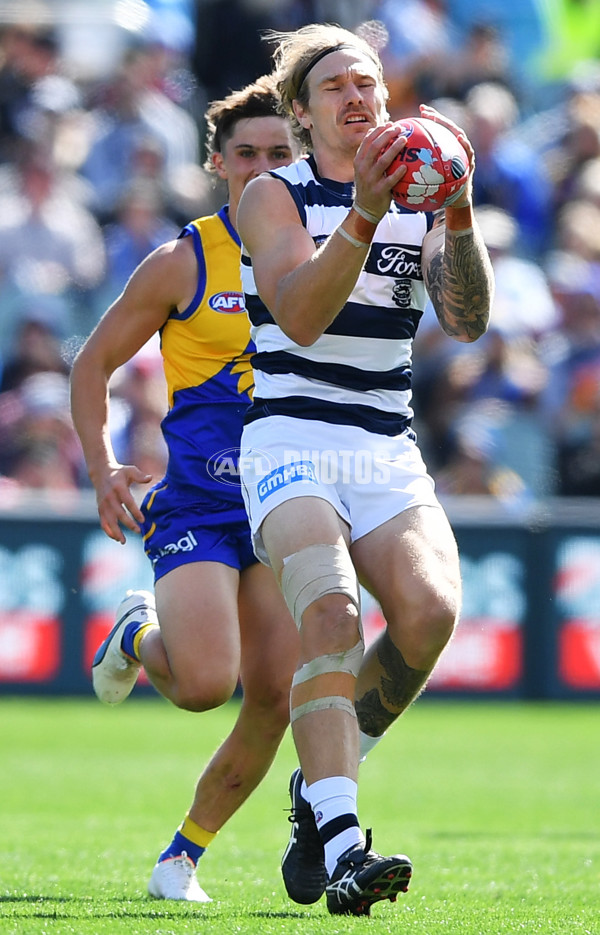 AFL Rd 5 - Geelong v West Coast - A-1223376