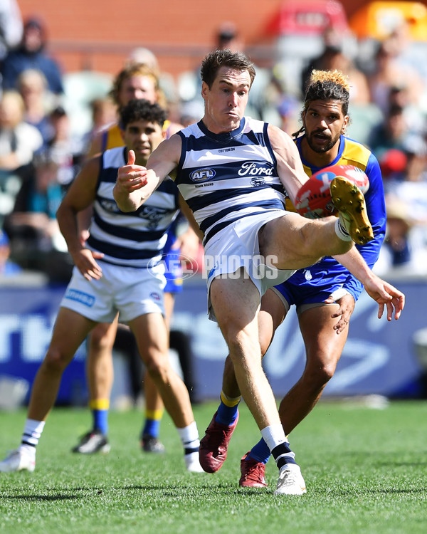 AFL Rd 5 - Geelong v West Coast - A-1223395