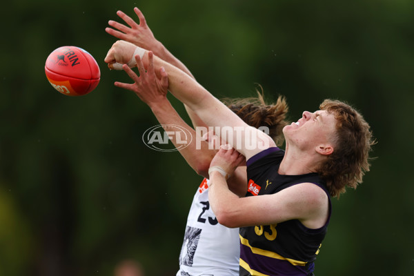 Coates Talent League Boys Rd 4 - Murray Bushrangers v Geelong Falcons - A-1226169