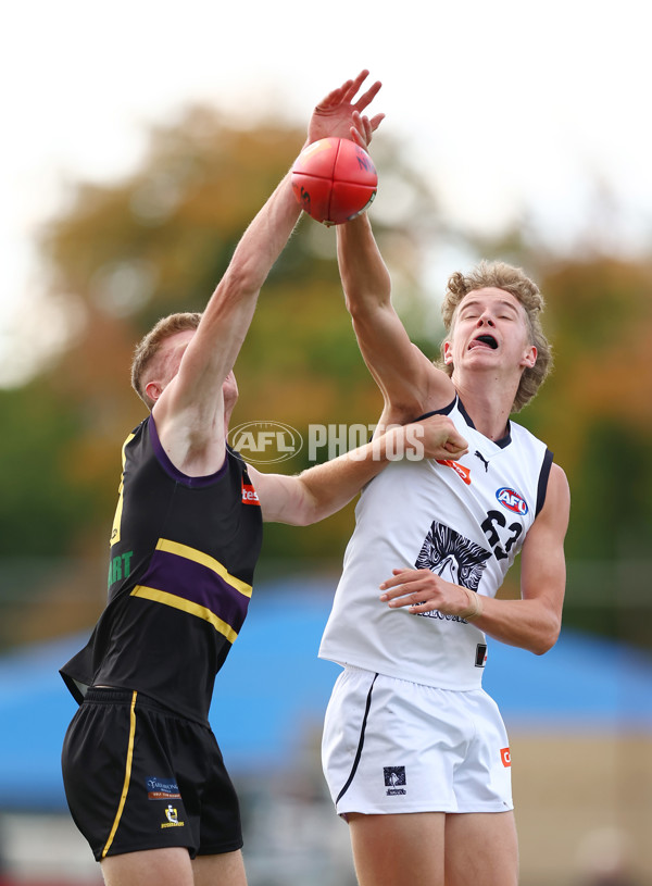 Coates Talent League Boys Rd 4 - Murray Bushrangers v Geelong Falcons - A-1226367