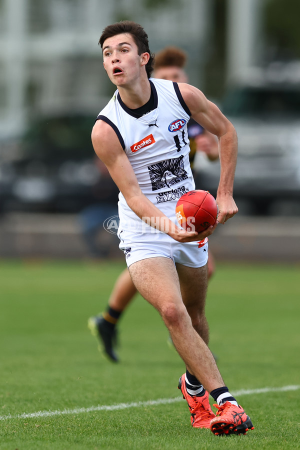 Coates Talent League Boys Rd 4 - Murray Bushrangers v Geelong Falcons - A-1226372