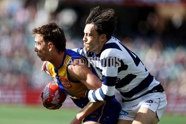 AFL Rd 5 - Geelong v West Coast - A-1229071