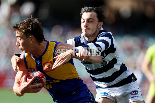 AFL Rd 5 - Geelong v West Coast - A-1229073