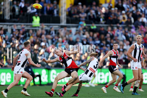 AFL Rd 5 - St Kilda v Collingwood - A-1231924