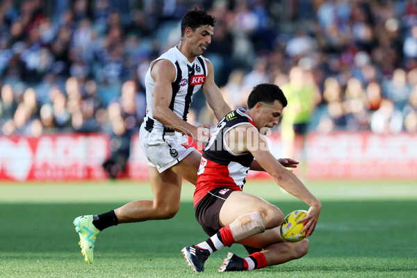 AFL Rd 5 - St Kilda v Collingwood - A-1231925