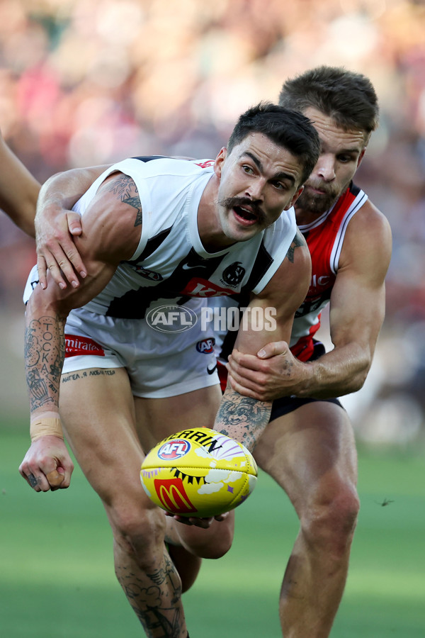 AFL Rd 5 - St Kilda v Collingwood - A-1231982