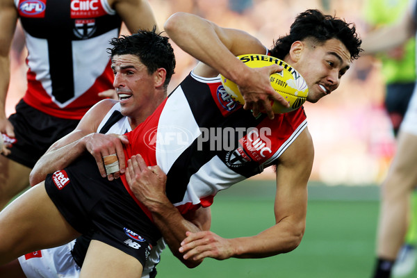 AFL Rd 5 - St Kilda v Collingwood - A-1231984