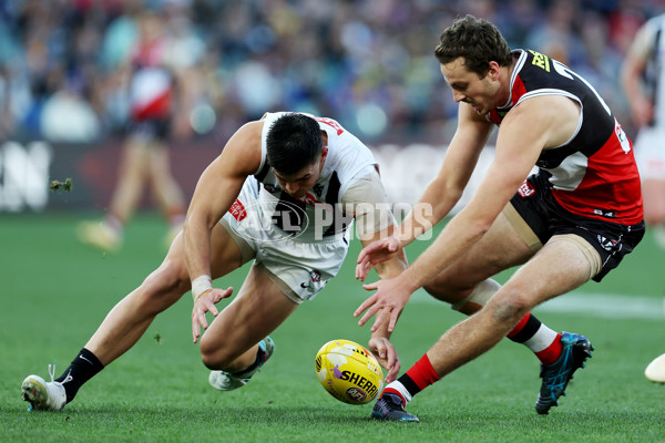 AFL Rd 5 - St Kilda v Collingwood - A-1231987