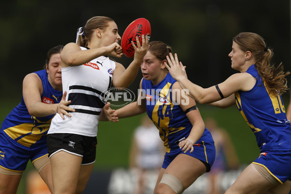 Coates Talent League Girls Rd 6 - Northern Knights v Western Jets - A-1263079