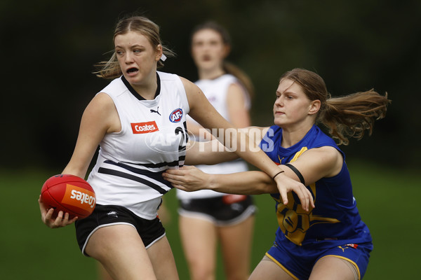 Coates Talent League Girls Rd 6 - Northern Knights v Western Jets - A-1263081