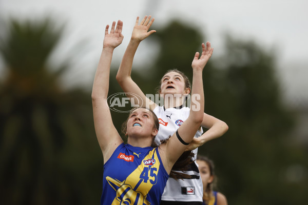 Coates Talent League Girls Rd 6 - Northern Knights v Western Jets - A-1263091