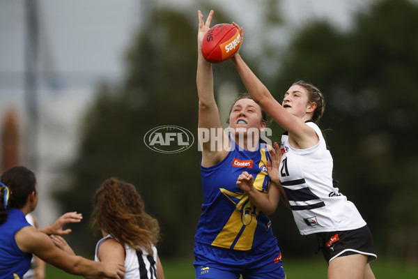 Coates Talent League Girls Rd 6 - Northern Knights v Western Jets - A-1263092