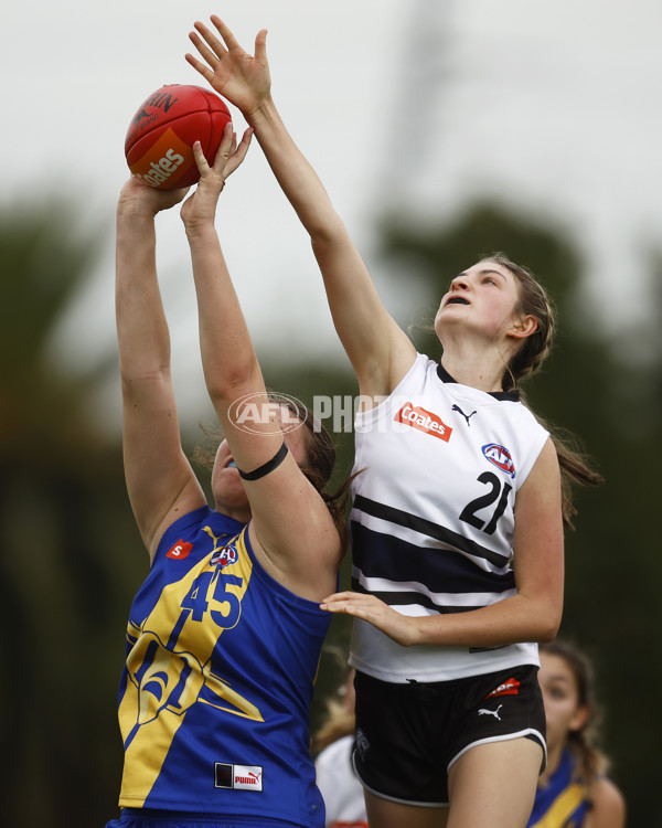 Coates Talent League Girls Rd 6 - Northern Knights v Western Jets - A-1263093