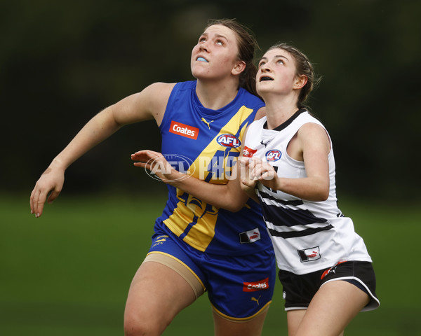 Coates Talent League Girls Rd 6 - Northern Knights v Western Jets - A-1263094