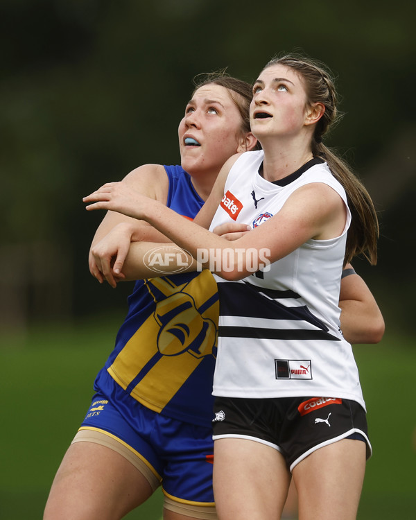 Coates Talent League Girls Rd 6 - Northern Knights v Western Jets - A-1263095