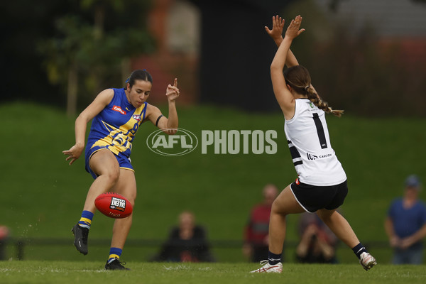 Coates Talent League Girls Rd 6 - Northern Knights v Western Jets - A-1263101