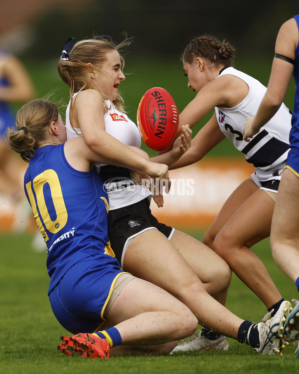 Coates Talent League Girls Rd 6 - Northern Knights v Western Jets - A-1263103