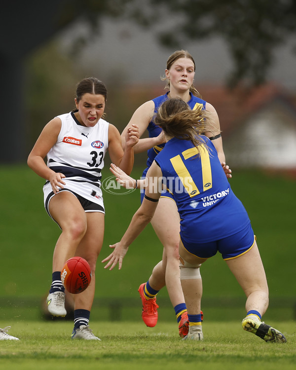 Coates Talent League Girls Rd 6 - Northern Knights v Western Jets - A-1263705