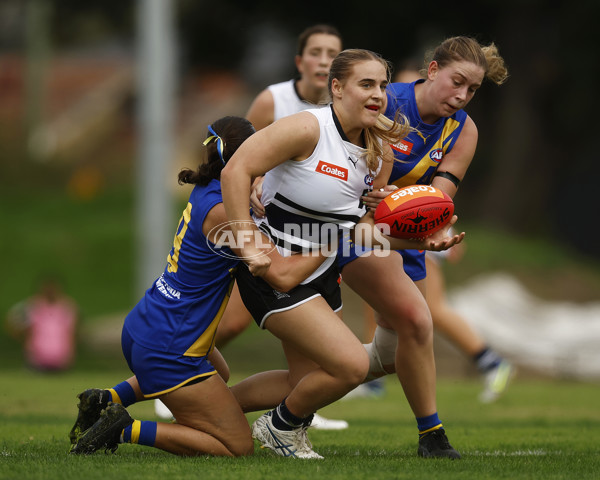 Coates Talent League Girls Rd 6 - Northern Knights v Western Jets - A-1263709