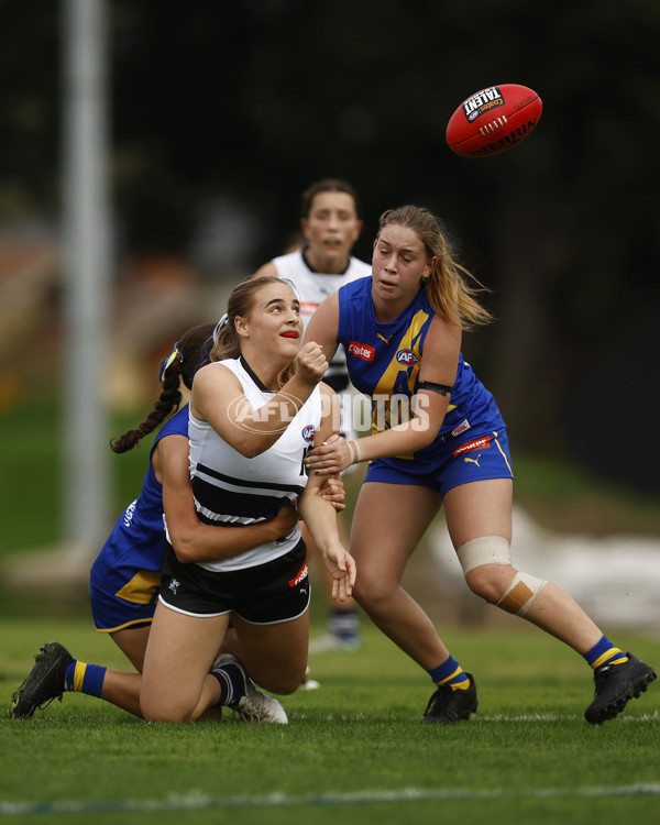 Coates Talent League Girls Rd 6 - Northern Knights v Western Jets - A-1263710