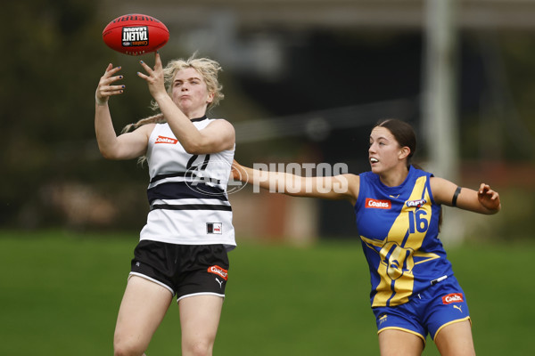 Coates Talent League Girls Rd 6 - Northern Knights v Western Jets - A-1267152