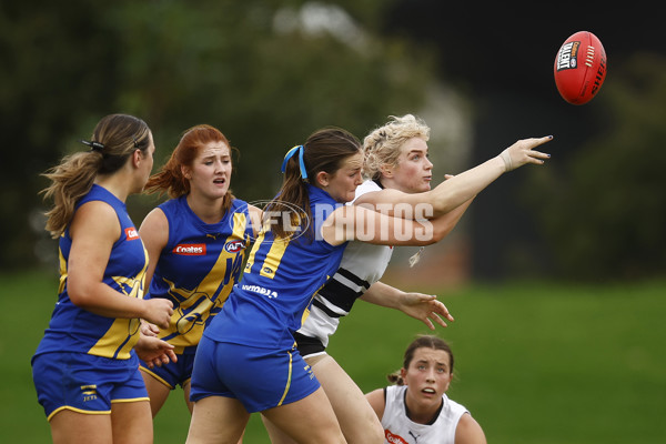 Coates Talent League Girls Rd 6 - Northern Knights v Western Jets - A-1267178