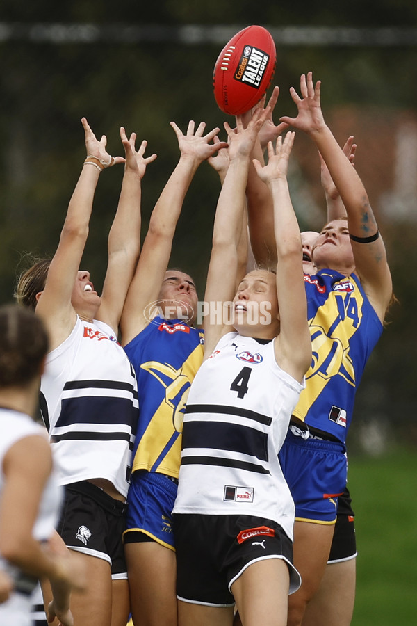 Coates Talent League Girls Rd 6 - Northern Knights v Western Jets - A-1267181