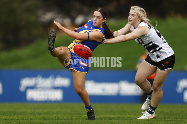 Coates Talent League Girls Rd 6 - Northern Knights v Western Jets - A-1267190