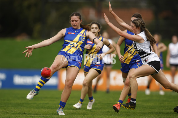 Coates Talent League Girls Rd 6 - Northern Knights v Western Jets - A-1267191