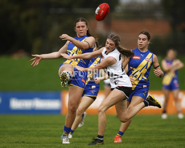 Coates Talent League Girls Rd 6 - Northern Knights v Western Jets - A-1267192