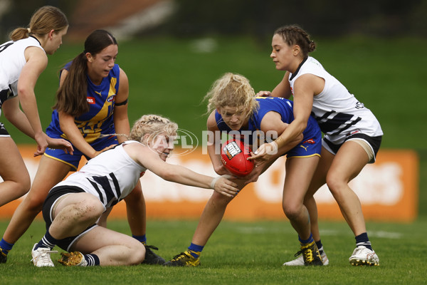 Coates Talent League Girls Rd 6 - Northern Knights v Western Jets - A-1267194