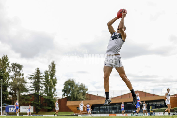 VFL Rd 5 - Footscray Bulldogs v Southport Sharks - A-1267195