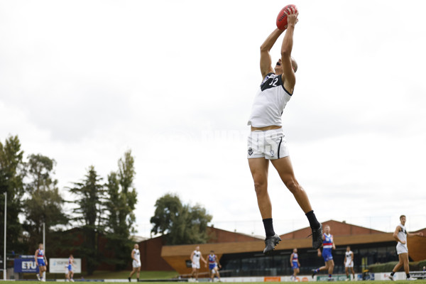 VFL Rd 5 - Footscray Bulldogs v Southport Sharks - A-1267196