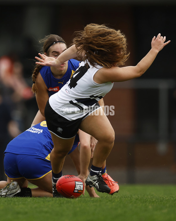 Coates Talent League Girls Rd 6 - Northern Knights v Western Jets - A-1267214