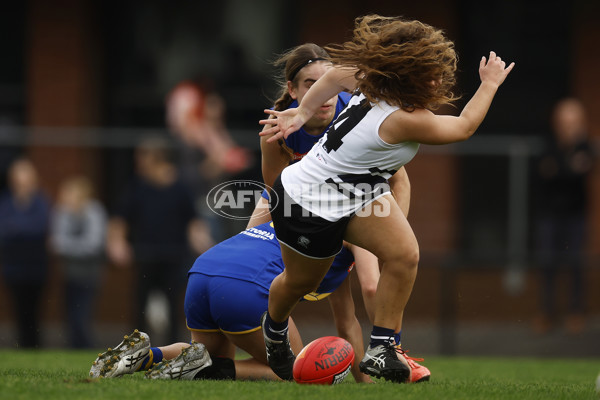 Coates Talent League Girls Rd 6 - Northern Knights v Western Jets - A-1267217