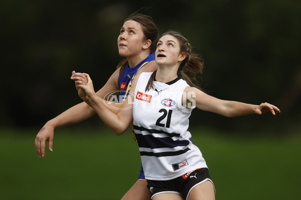 Coates Talent League Girls Rd 6 - Northern Knights v Western Jets - A-1267235