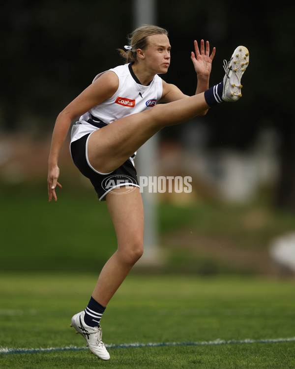 Coates Talent League Girls Rd 6 - Northern Knights v Western Jets - A-1267237