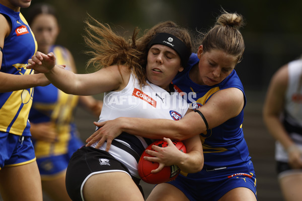 Coates Talent League Girls Rd 6 - Northern Knights v Western Jets - A-1267241