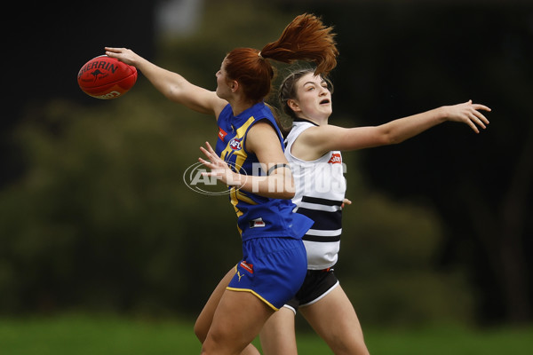 Coates Talent League Girls Rd 6 - Northern Knights v Western Jets - A-1267242