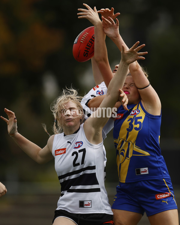 Coates Talent League Girls Rd 6 - Northern Knights v Western Jets - A-1267245