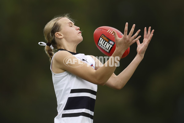 Coates Talent League Girls Rd 6 - Northern Knights v Western Jets - A-1268487