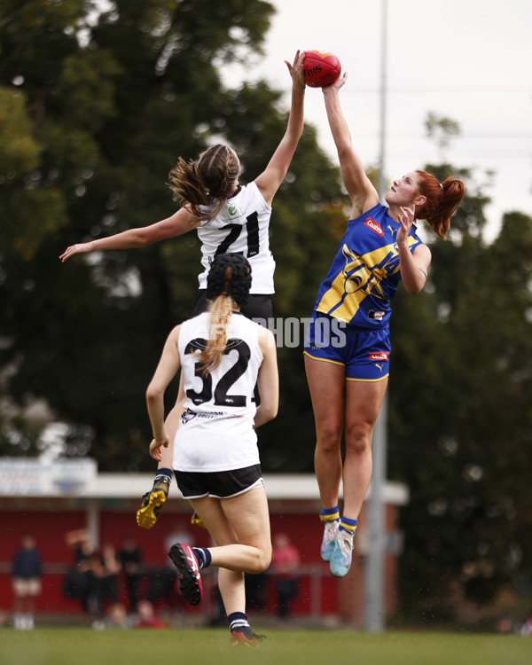 Coates Talent League Girls Rd 6 - Northern Knights v Western Jets - A-1268505