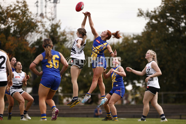 Coates Talent League Girls Rd 6 - Northern Knights v Western Jets - A-1268507